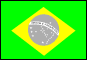 Brazilian Flag