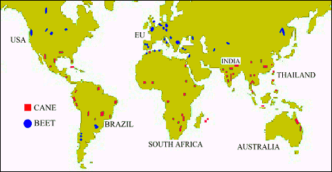 World Map